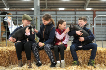 CountryTastic 2023 jam packed with interactive learning experiences, farmyard friends and countryside fun